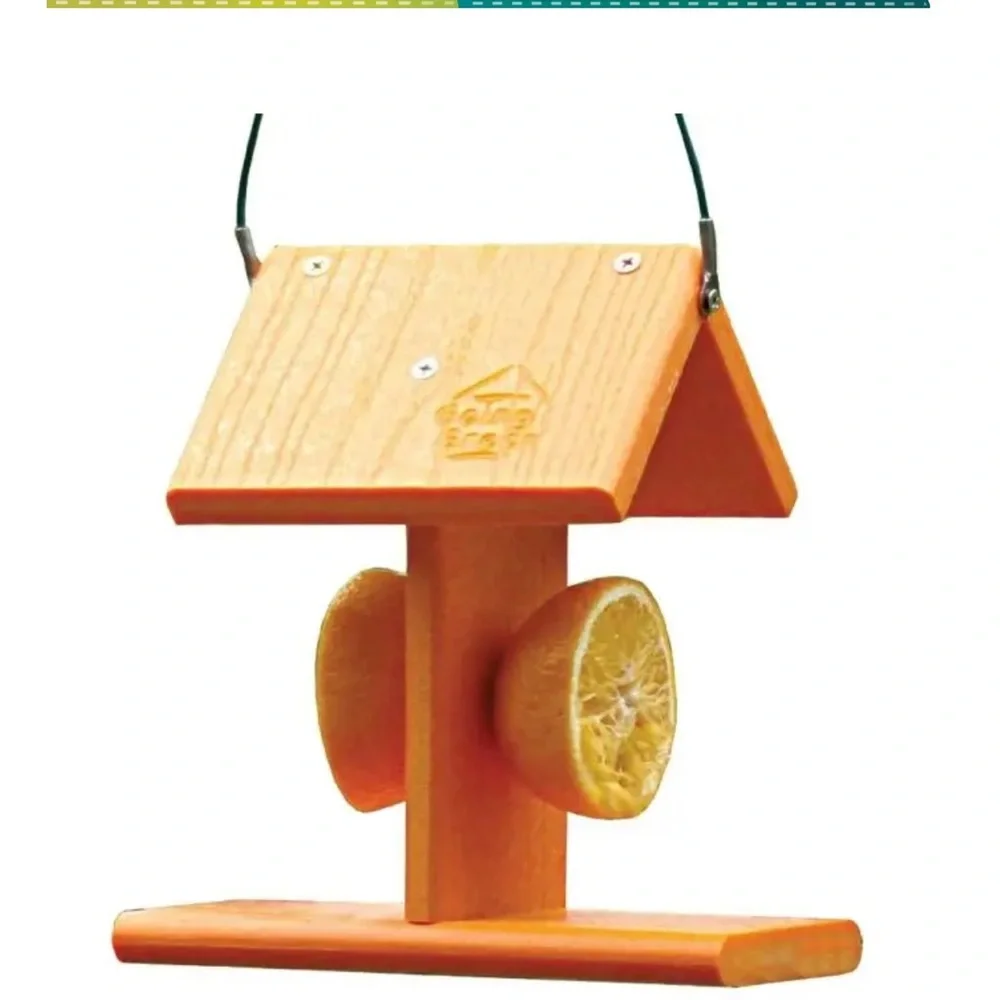 Going Green Bright Orange Hanging Bird Feeder